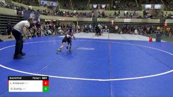 45 lbs Quarterfinal - Grayson Guelig, Edina Wrestling Association vs Lincoln Anderson, DGF