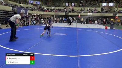 45 lbs Quarterfinal - Grayson Guelig, Edina Wrestling Association vs Lincoln Anderson, DGF