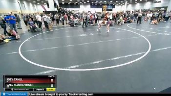 97 lbs Cons. Round 4 - Joey Cahill, IA vs Cael Floerchinger, MT