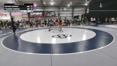 74 kg Champ. Rd Of 64 - Richard Grungo, Lehigh Valley Wrestling RTC vs Dominic Findora, Dragon Wrestling Club