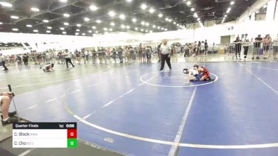 46 lbs Quarterfinal - Colten Black, Ravage WC vs Christian Cho, So Cal Hammers