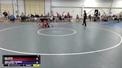 83 lbs Placement Matches (8 Team) - Rei Pate, Virginia vs Benjamin Marino, New York Gold