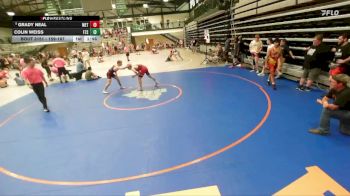159-167 lbs 1st Place Match - Grady Neal, Metamora vs Colin Weiss, Fort Zumwalt South