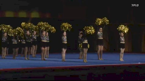 Deland Bulldogs - Southeast [2024 East Coast Pop Warner Wednesday] 2024 Pop Warner National Cheer & Dance Championship