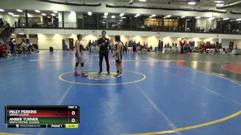 101 lbs Cons. Round 3 - Miley Perkins, Adrian College vs Amber Turner, North Central College
