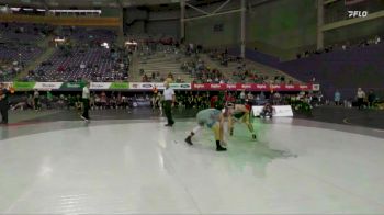 133 lbs Semis (4 Team) - Alex Fernandez III, King vs Dawson Schmit, Upper Iowa