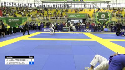 ANDRÉ LUIS APARECIDO SANT ANNA vs JOELSON NORBERTO DA SILVA 2024 Brasileiro Jiu-Jitsu IBJJF