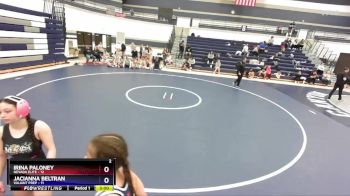 120 lbs Round 1 (4 Team) - Irina Paloney, Nevada Elite vs Deandra Meza, Valiant Prep