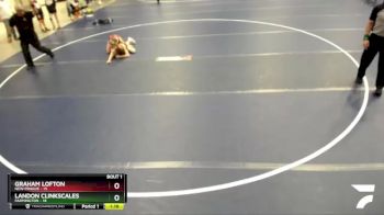 80 lbs Finals (2 Team) - Landon Clinkscales, Farmington vs Graham Lofton, New Prague