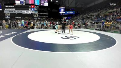 132 lbs Champ. Rd Of 128 - Carl Shew, IA vs Aiden White, NC