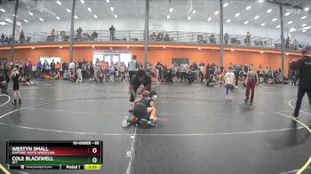 65 lbs Quarterfinal - Westyn Small, Eastside Youth Wrestling vs Cole Blackwell, JET