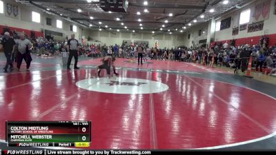 100 lbs Cons. Round 2 - Colton Midtling, Victory School Of Wrestling vs Mitchell Webster, Chippewa Elite