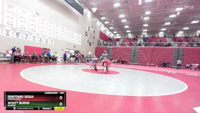 138 lbs Quarterfinal - Sontonio Sessa, Crown Point vs Wyatt Burns, Dundee