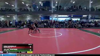100 lbs Finals (2 Team) - Gino Biondillo, Brecksville vs Dylan *Kantner, St. Ed`s