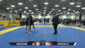 Guybson Costa E Sá vs Vinicius Lino Wong 2026 Pan IBJJF Jiu-Jitsu No-Gi Championship