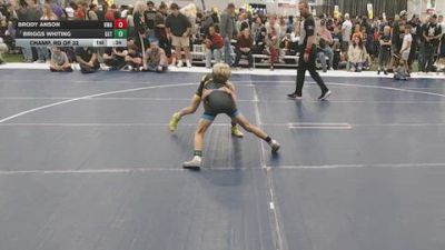 74 lbs Champ. Rd Of 32 - Briggs Whiting, GGT vs Brody Anson, Hawkeye Wrestling Academy