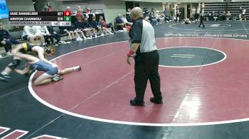 127 lbs Quarterfinals (8 Team) - Ashton Charmoli, Saint Francis, MN vs Jase Dangelser, Bettendorf, IA