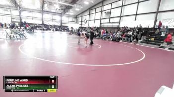 135 lbs Cons. Round 3 - Fortune Ward, Carbon vs Alexis Pavlides, Riverton