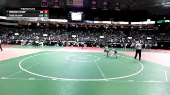 65 lbs Cons. Round 2 - Cole Sloan, WSW1 vs Phoenix Wolf, AUR1