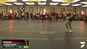 138 lbs Champ. Round 1 - Anthony Paulino, St. John Vianney vs Vance Barz, Sauk Rapids