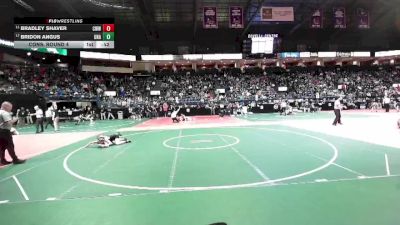 120 lbs Cons. Round 4 - Bridon Angus, Unattached vs Bradley Shaver, CWWA