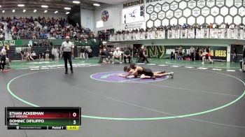 106 lbs Cons. Round 4 - Ethan Ackerman, Clay (Oregon) vs Dominic Difilippo, Medina