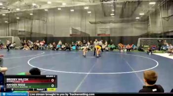 100 lbs Round 2 (4 Team) - Hayden Risse, South Dakota Blizzard vs Brodey Wilcox, Wyoming Gold