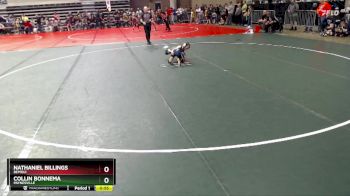 55 lbs Champ. Round 1 - Collin Bonnema, Paynesville vs Nathaniel Billings, Bemidji