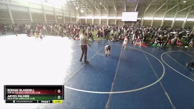 73 lbs Quarterfinal - Roman Blaisdell, Top Of The Rock Wrestling Club vs Aryes Palmer, Bear River Wrestling Club