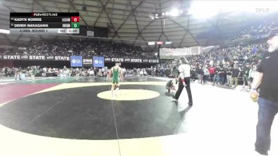 Boys 4A 132 lbs Cons. Round 1 - Kadyn Norris, Lewis And Clark vs Derek Nakagawa, Kentridge