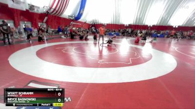 83-91 lbs Round 1 - Bryce Bagnowski, Wisconsin Rapids vs Wyatt Schramm, Riverdale