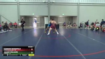 220 lbs Round 1 (8 Team) - Gannon Rosenfeld, Minnesota Silver vs Xavier Williams, Virginia