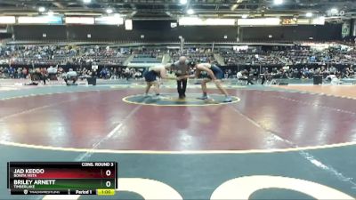 215 lbs Cons. Round 3 - Briley Arnett, Timberlake vs Jad Keddo, Bonita Vista