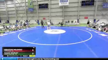 145 lbs Semis & 1st Wrestleback (8 Team) - Sebastian Melendez, Georgia Red vs Mason Gourley, Pennsylvania Red