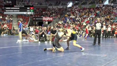 1A-132 lbs Quarterfinal - Matthew Mintle, Lynnville-Sully vs Drew Anderson, Riverside, Oakland