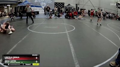 84 lbs Round 1 (4 Team) - Geno Hayes, Revival Uprising Orange vs Lincoln Genua, Warhawks