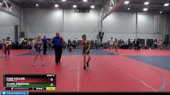88 lbs Round 3 (4 Team) - Flynn Arnestad, 84 Athletes vs Cade Collins, Triumph
