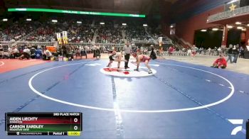 3A-182 lbs 3rd Place Match - Aiden Liechty, Evanston vs Carson Eardley, Mountain View
