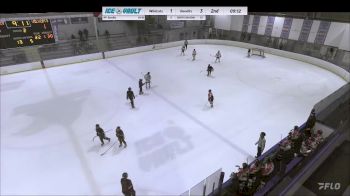 Replay: Home - 2024 Wildcats U12AA vs Bandits Grey U12 AA | Jan 7 @ 3 PM