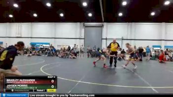 125 lbs Quarterfinals (8 Team) - Bradley Alexander, Palmetto State Academy Blue vs Jayden Morris, Palmetto State Academy Gold