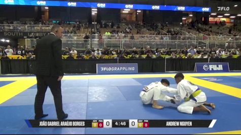 Andrew Nguyen vs João Gabriel Araújo Borges 2025 Pan Jiu Jitsu IBJJF Championship