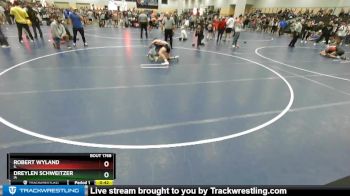 113 lbs Cons. Round 2 - Robert Wyland, IL vs Dreylen Schweitzer, IA