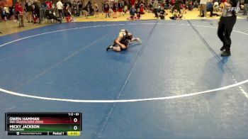 61 lbs Quarterfinal - Micky Jackson, Stillwater vs Owen Hamman, WDC (Wadena/Deer Creek)