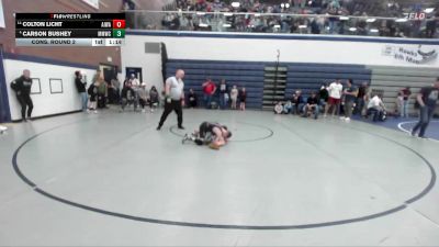 71 lbs Cons. Round 2 - Colton Licht, All In Wrestling Academy vs Carson Bushey, Mountain Man Wrestling Club