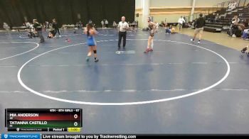 97 lbs Quarterfinal - Mia Anderson, NE vs Tatianna Castillo, MI