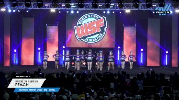 Pride of Illinois - Peach [2023 L4 Senior Coed - D2 - Small Day 2] 2023 WSF Grand Nationals