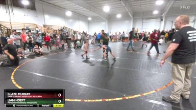 70 lbs Quarterfinal - Liam Hoeft, Modern Warriors Wrestling vs Blaze Murray, Spartanburg Wrestling Academy