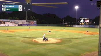 Replay: Home - 2025 Blowfish vs Forest City Owls | Jun 25 @ 7 PM