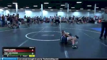 88 lbs Round 3 (8 Team) - Marty Koert, Iron Horse Blue vs Trey Salvaggio, D3PRIMUS