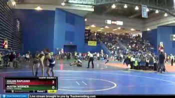 113 lbs Champ. Round 2 - Julian Rapuano, Delcastle vs Austin Werner, DePaul Catholic